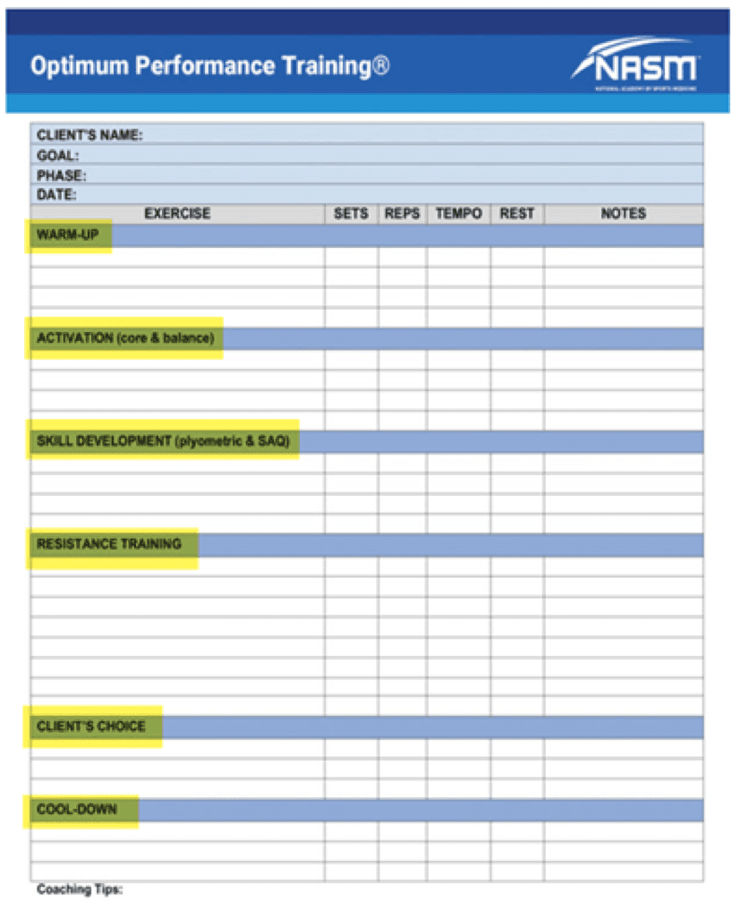 OPT MODEL BY NASM 3Η ΦΑΣΗ: ΜΥΪΚΗ ΑΝΑΠΤΥΞΗ – HNFC Cyprus