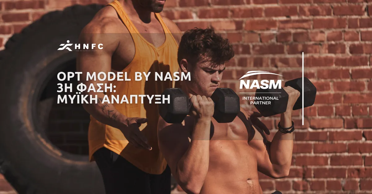 OPT Model by NASM – 3η Φάση: Μυϊκή ανάπτυξη
