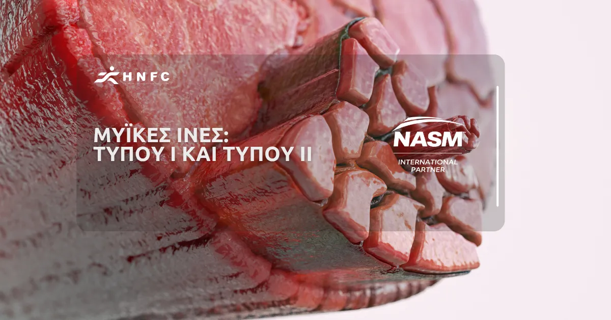 Μυϊκές ίνες